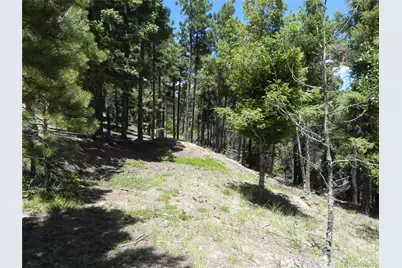 13886 Boulder Lane, Larkspur, CO 80118 - Photo 20