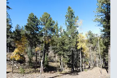 13886 Boulder Lane, Larkspur, CO 80118 - Photo 38