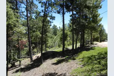 13886 Boulder Lane, Larkspur, CO 80118 - Photo 24
