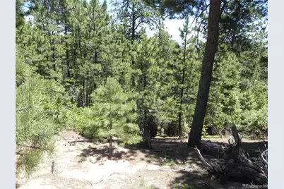 13886 Boulder Lane, Larkspur, CO 80118 - Photo 18