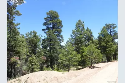 13886 Boulder Lane, Larkspur, CO 80118 - Photo 28