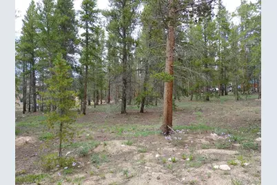 813 Topaz Street, Leadville, CO 80461 - Photo 2