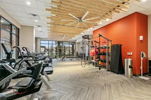 20 Wilcox Street, Castle Rock, CO 80104 - Photo 28