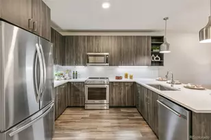 20 Wilcox Street, Castle Rock, CO 80104 - Photo 8