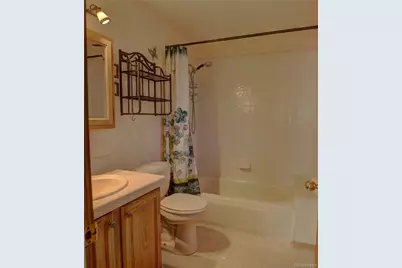 170 Blackbird Drive, Bailey, CO 80421 - Photo 18