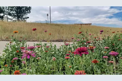 7465 E 157th Place, Thornton, CO 80602 - Photo 46