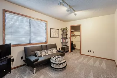 254 Zang Street, Lakewood, CO 80228 - Photo 16