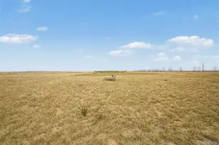 81807 E County Road 22, Deer Trail, CO 80105 - Photo 50