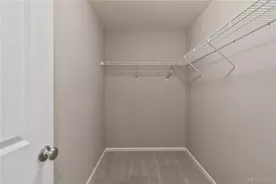 3793 Happyheart Way, Castle Rock, CO 80109 - Photo 26