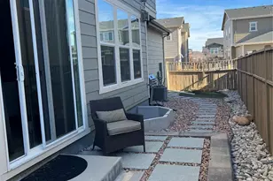 3793 Happyheart Way, Castle Rock, CO 80109 - Photo 30