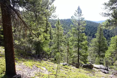 4-1 Lamertine Road, Idaho Springs, CO 80452 - Photo 8