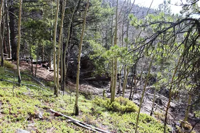 4-1 Lamertine Road, Idaho Springs, CO 80452 - Photo 14