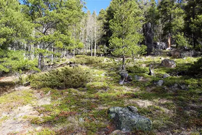 4-1 Lamertine Road, Idaho Springs, CO 80452 - Photo 10