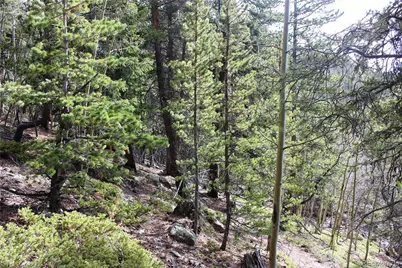 4-1 Lamertine Road, Idaho Springs, CO 80452 - Photo 12