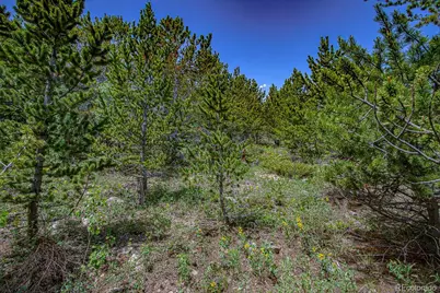 123 Yankee Hill Trail, Black Hawk, CO 80427 - Photo 48