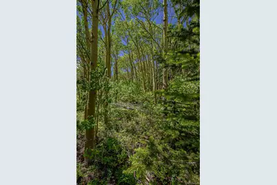 123 Yankee Hill Trail, Black Hawk, CO 80427 - Photo 44