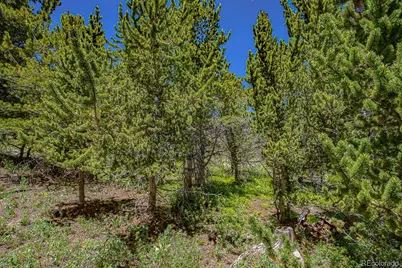 123 Yankee Hill Trail, Black Hawk, CO 80427 - Photo 46