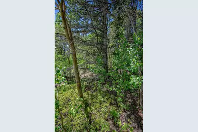 123 Yankee Hill Trail, Black Hawk, CO 80427 - Photo 38
