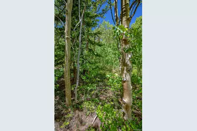 123 Yankee Hill Trail, Black Hawk, CO 80427 - Photo 40