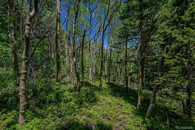 123 Yankee Hill Trail, Black Hawk, CO 80427 - Photo 42