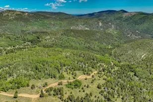 123 Yankee Hill Trail, Black Hawk, CO 80427 - Photo 1