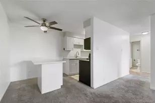 1233 N Ogden St, Denver, CO 80218 - Photo 10