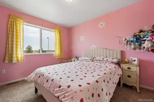 21061 Randolph Pl, Denver, CO 80249 - Photo 14