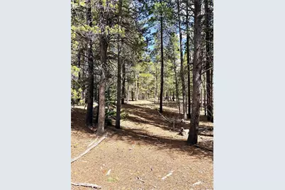 0 Georges Way, Alma, CO 80420 - Photo 22