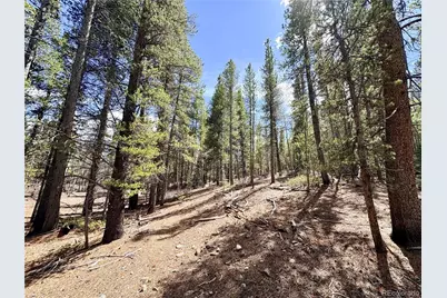 0 Georges Way, Alma, CO 80420 - Photo 4