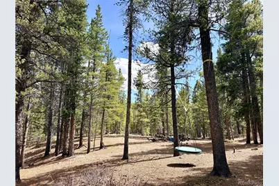 0 Georges Way, Alma, CO 80420 - Photo 2