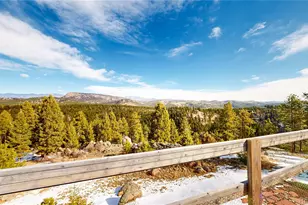 195 Doe Cir, Bailey, CO 80421 - Photo 6