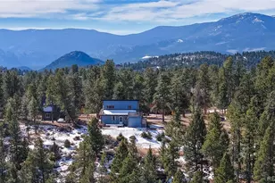 195 Doe Cir, Bailey, CO 80421 - Photo 8