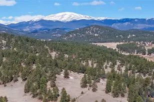 195 Doe Cir, Bailey, CO 80421 - Photo 28