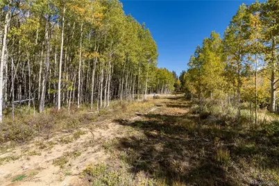 10575 Co-82, Twin Lakes, CO 81251 - Photo 12