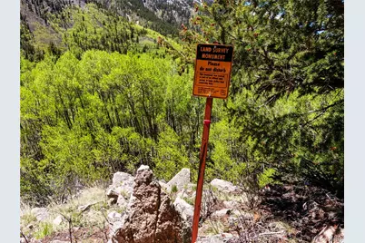 10575 Co-82, Twin Lakes, CO 81251 - Photo 30