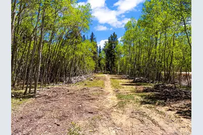 10575 Co-82, Twin Lakes, CO 81251 - Photo 26