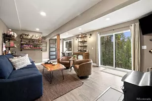 12025 Red Cloud Way, Conifer, CO 80433 - Photo 30