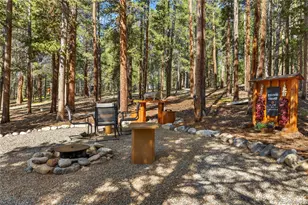 59 Tabor Dr, Leadville, CO 80461 - Photo 40