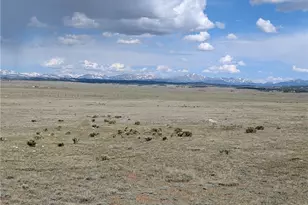 1920 Badger Basin Rd, Hartsel, CO 80449 - Photo 1