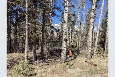 2938 Kemper Loop, Fort Garland, CO 81133 - Photo 6