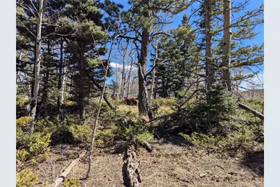 2938 Kemper Loop, Fort Garland, CO 81133 - Photo 8