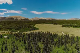 515 Wild Rye Rd, Fairplay, CO 80440 - Photo 1