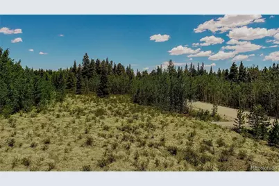 515 Wild Rye Road, Fairplay, CO 80440 - Photo 10
