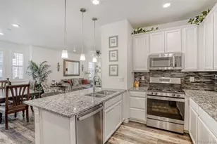 17703 Olive St, Broomfield, CO 80023 - Photo 14