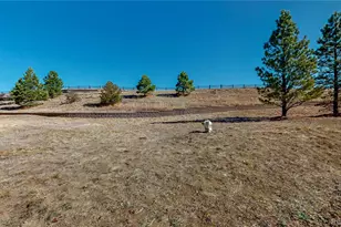 3858 Tranquility Trail, Castle Rock, CO 80109 - Photo 44