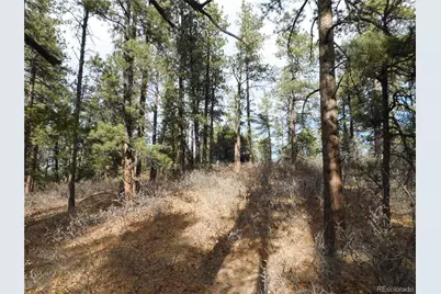 8139 Bannock Drive, Larkspur, CO 80118 - Photo 28