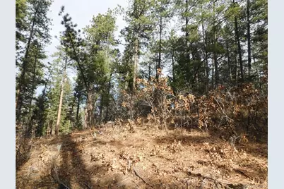 8139 Bannock Drive, Larkspur, CO 80118 - Photo 34