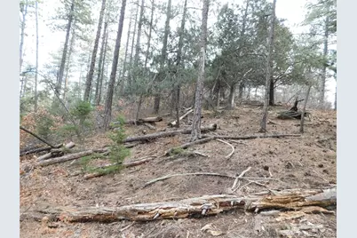 8139 Bannock Drive, Larkspur, CO 80118 - Photo 22