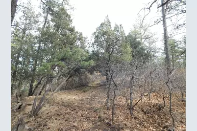 8139 Bannock Drive, Larkspur, CO 80118 - Photo 24