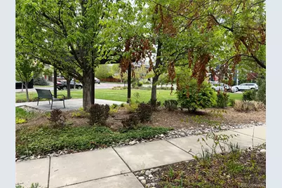 2917 Emporia Street, Denver, CO 80238 - Photo 20